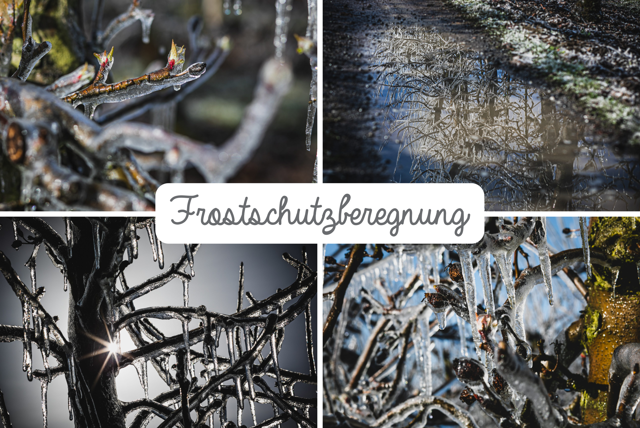 News 03.04.2022: Frostschutzberegnung im Alten Land